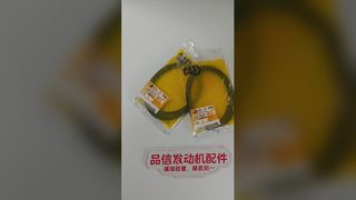 CAT Genuine Parts For 312-4313 3124313 Seal Kit CAT 950GC Excavator Engine Parts