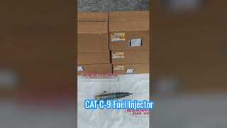 Engine Fuel Injector For 236-0962 2360962 Fuel Injector CAT C-9 Excavator engine parts