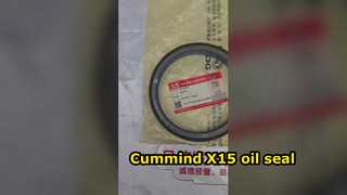 3685173 yağ keçesi için inşaat makineleri Cummind X15 Ekskavatör Motor Parçaları