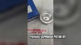 For U5PR0058 PISTON KIT Perkins CAT C6.6 E323D E320D Excavator Engine Pistons