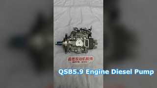 Voor 3937690 0470506041 Brandstofinjectiepomp Cummins QSB5.9 Bosch VP44 Motoronderdelen